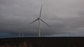 Job seekers looking to land a job in green technology should check out the following states that created the most clean-energy jobs during the first quarter of this year.